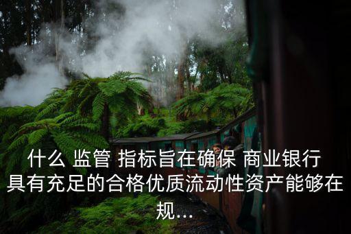 什么 監(jiān)管 指標旨在確保 商業(yè)銀行具有充足的合格優(yōu)質(zhì)流動性資產(chǎn)能夠在規(guī)...