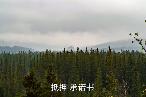 抵押 承諾書(shū)