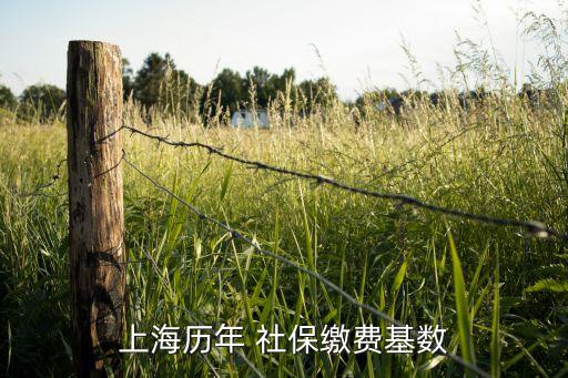 2012社?；鹂傤~,社保基金總額是什么意思