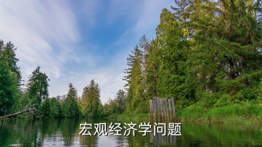 宏觀經(jīng)濟(jì)學(xué)問題