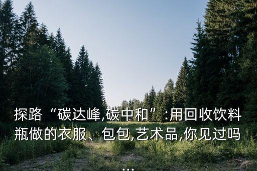 探路“碳達峰,碳中和”:用回收飲料瓶做的衣服、包包,藝術(shù)品,你見過嗎...