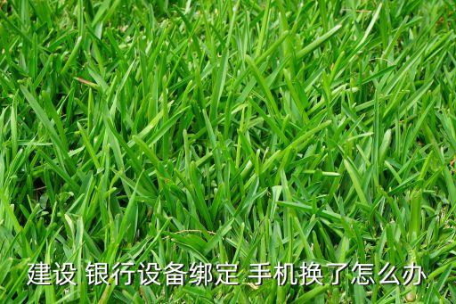 建設(shè) 銀行設(shè)備綁定 手機(jī)換了怎么辦