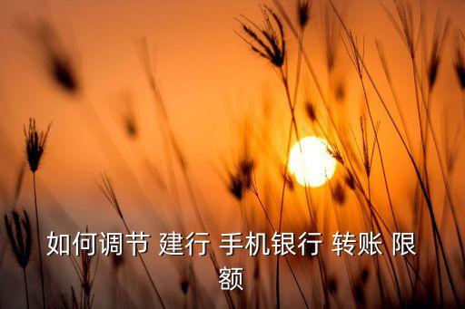 建行手機銀行單筆轉賬限額,建行個人手機銀行 單筆提額