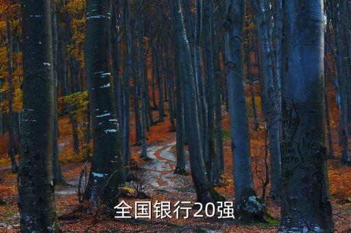 全國銀行20強(qiáng)
