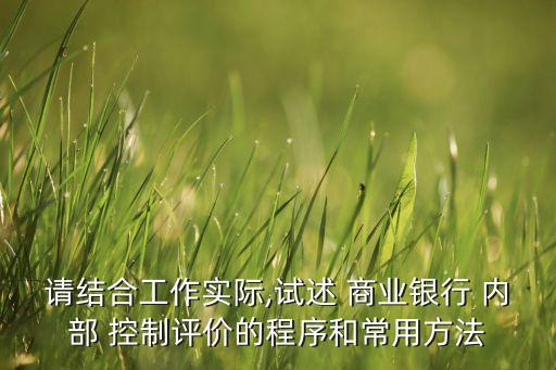 請結合工作實際,試述 商業(yè)銀行 內部 控制評價的程序和常用方法