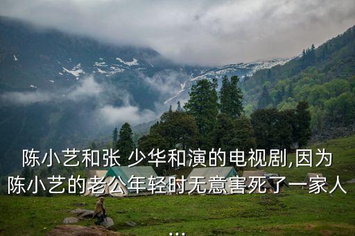 陳小藝和張 少華和演的電視劇,因?yàn)殛愋∷嚨睦瞎贻p時無意害死了一家人...