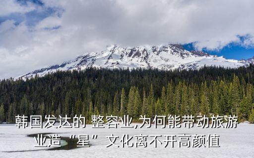 韓國(guó)發(fā)達(dá)的 整容業(yè),為何能帶動(dòng)旅游業(yè)造“星”文化離不開高顏值