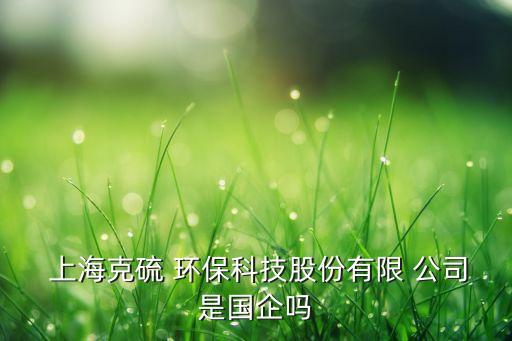  上?？肆?環(huán)保科技股份有限 公司是國(guó)企嗎