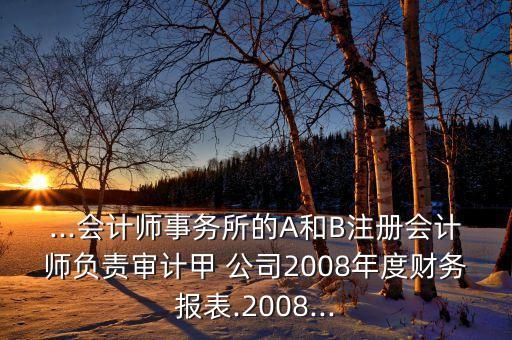 ...會計師事務所的A和B注冊會計師負責審計甲 公司2008年度財務報表.2008...