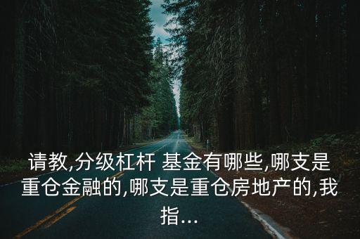 請教,分級(jí)杠桿 基金有哪些,哪支是重倉金融的,哪支是重倉房地產(chǎn)的,我指...