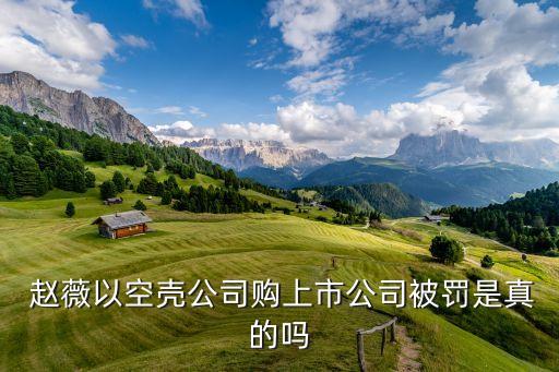 趙薇背后的投資產品