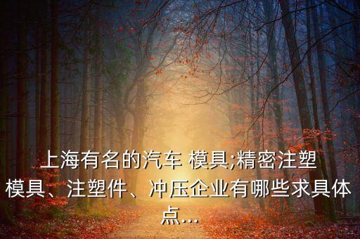  上海有名的汽車 模具;精密注塑 模具、注塑件、沖壓企業(yè)有哪些求具體點...