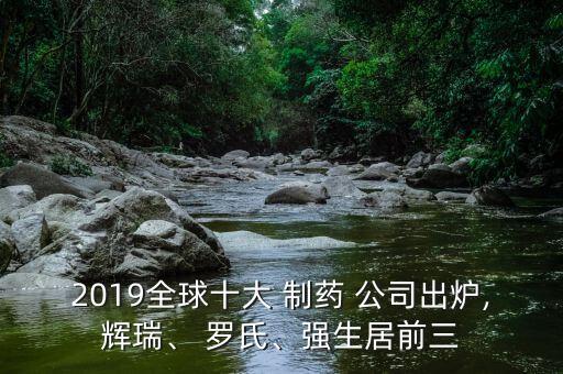 2019全球十大 制藥 公司出爐,輝瑞、 羅氏、強生居前三