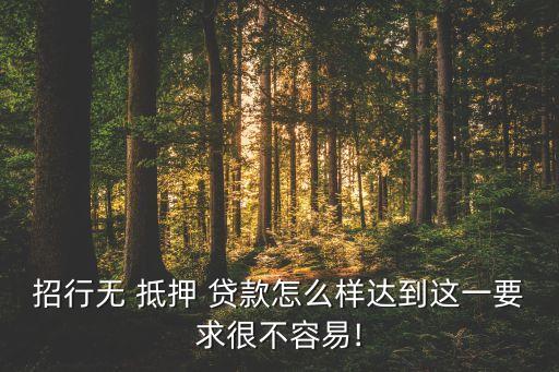 招行無 抵押 貸款怎么樣達到這一要求很不容易!