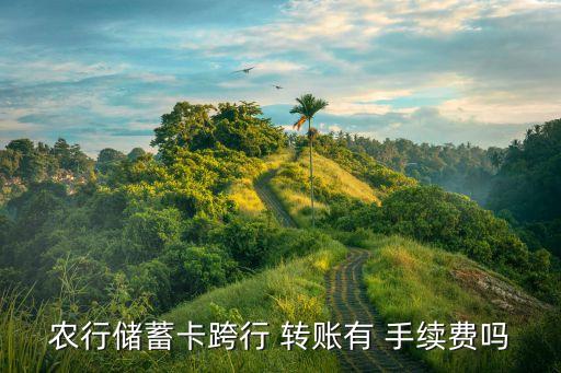 農(nóng)行儲蓄卡跨行 轉(zhuǎn)賬有 手續(xù)費(fèi)嗎