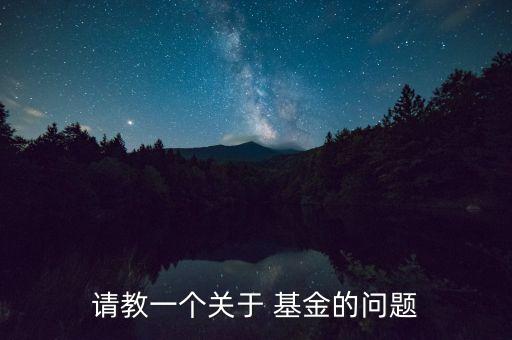 請教一個關于 基金的問題