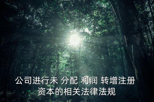 公司進行未 分配 利潤 轉增注冊 資本的相關法律法規(guī)