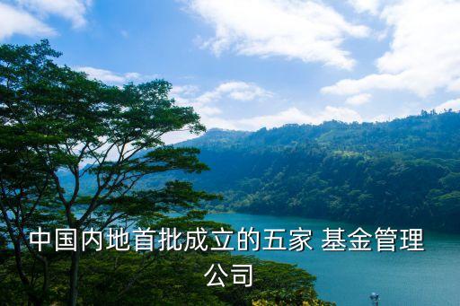 中國內地首批成立的五家 基金管理 公司