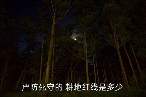 嚴(yán)防死守的 耕地紅線是多少