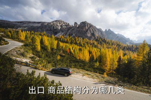 中國國出口商品構(gòu)成,商品的出口價(jià)格低于正常價(jià)格構(gòu)成