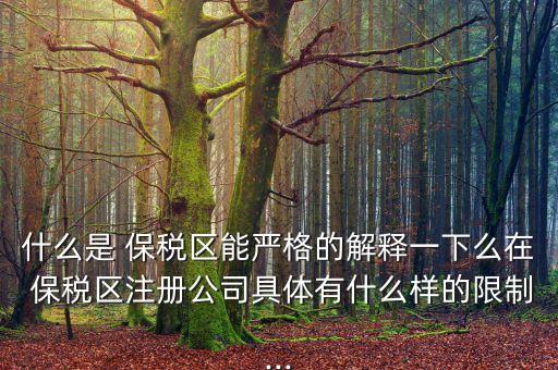 什么是 保稅區(qū)能嚴(yán)格的解釋一下么在 保稅區(qū)注冊公司具體有什么樣的限制...