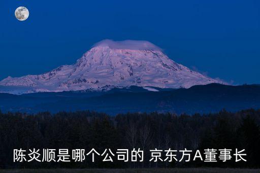 陳炎順是哪個(gè)公司的 京東方A董事長(zhǎng)