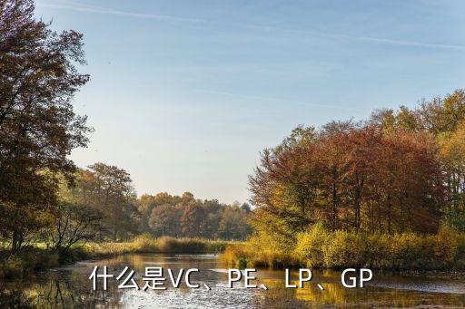 什么是VC、PE、LP、GP