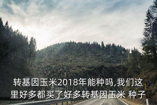 轉(zhuǎn)基因玉米2018年能種嗎,我們這里好多都買(mǎi)了好多轉(zhuǎn)基因玉米 種子