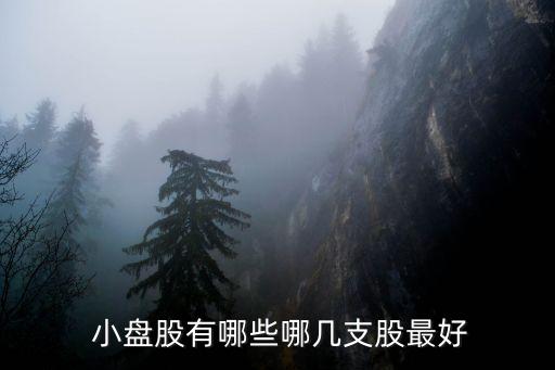  小盤(pán)股有哪些哪幾支股最好
