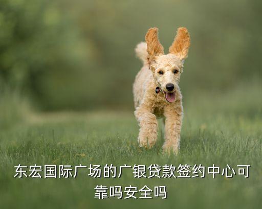  東宏國際廣場的廣銀貸款簽約中心可靠嗎安全嗎