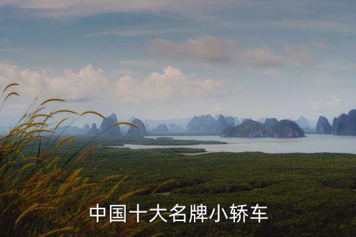 中國(guó)十大名牌小轎車(chē)
