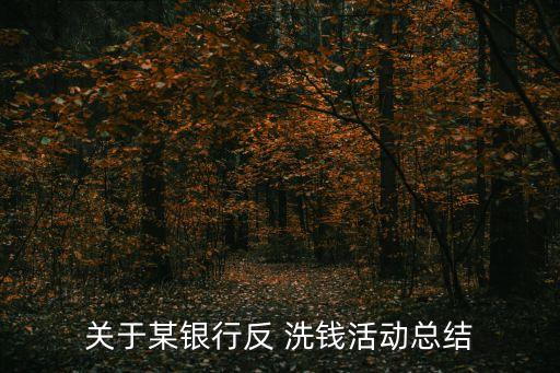 關(guān)于某銀行反 洗錢活動(dòng)總結(jié)