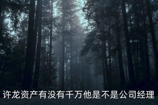 許龍資產(chǎn)有沒有千萬(wàn)他是不是公司經(jīng)理