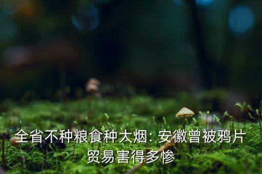 全省不種糧食種大煙: 安徽曾被鴉片貿(mào)易害得多慘