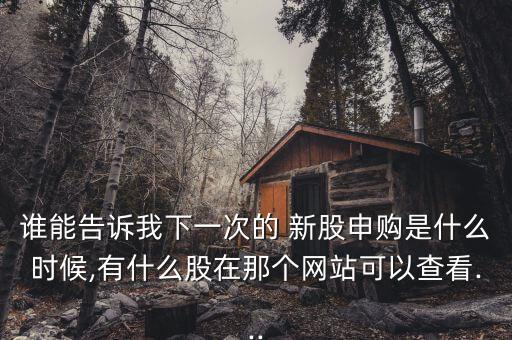 誰(shuí)能告訴我下一次的 新股申購(gòu)是什么時(shí)候,有什么股在那個(gè)網(wǎng)站可以查看...