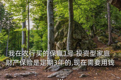 我在農(nóng)行買的保贏1號 投資型家庭 財(cái)產(chǎn)保險是定期3年的,現(xiàn)在需要用錢...