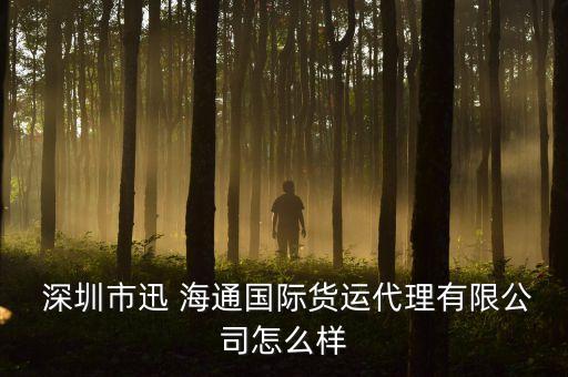  深圳市迅 海通國際貨運(yùn)代理有限公司怎么樣