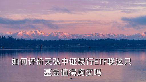 001413這支基金好嗎