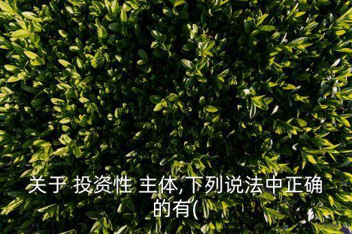 關(guān)于 投資性 主體,下列說(shuō)法中正確的有(