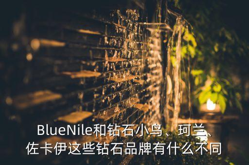 BlueNile和鉆石小鳥、珂蘭、佐卡伊這些鉆石品牌有什么不同