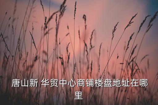  唐山新 華貿(mào)中心商鋪樓盤(pán)地址在哪里
