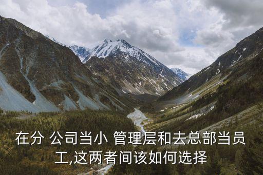 在分 公司當(dāng)小 管理層和去總部當(dāng)員工,這兩者間該如何選擇