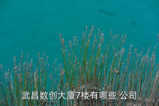 海航創(chuàng)新公司
