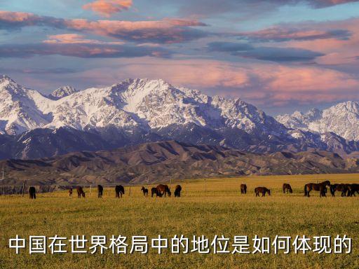 中國(guó)在世界格局中的地位是如何體現(xiàn)的
