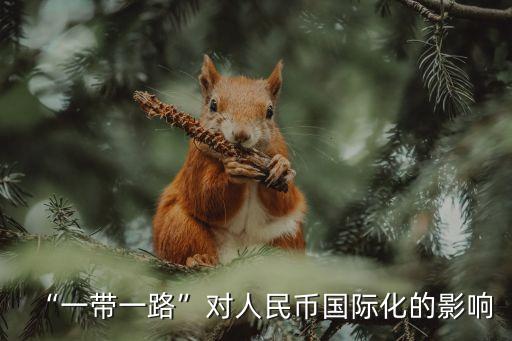 “一帶一路”對(duì)人民幣國際化的影響