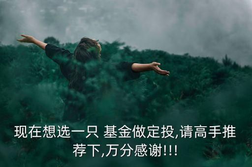 現(xiàn)在想選一只 基金做定投,請(qǐng)高手推薦下,萬分感謝!!!