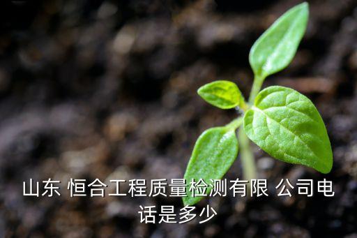 山東 恒合工程質(zhì)量檢測(cè)有限 公司電話是多少
