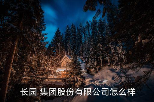 長(zhǎng)園集團(tuán)許曉文