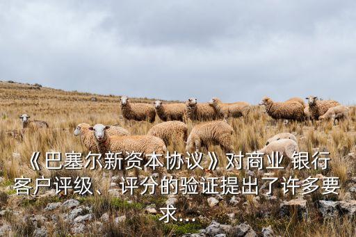 《巴塞爾新資本協(xié)議》對商業(yè) 銀行 客戶評級、 評分的驗證提出了許多要求...