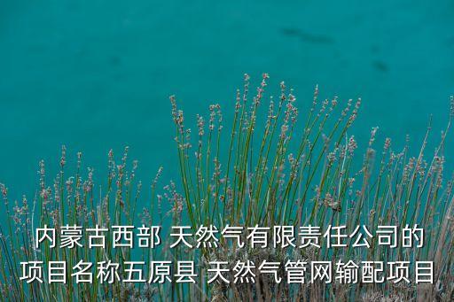  內(nèi)蒙古西部 天然氣有限責任公司的項目名稱五原縣 天然氣管網(wǎng)輸配項目